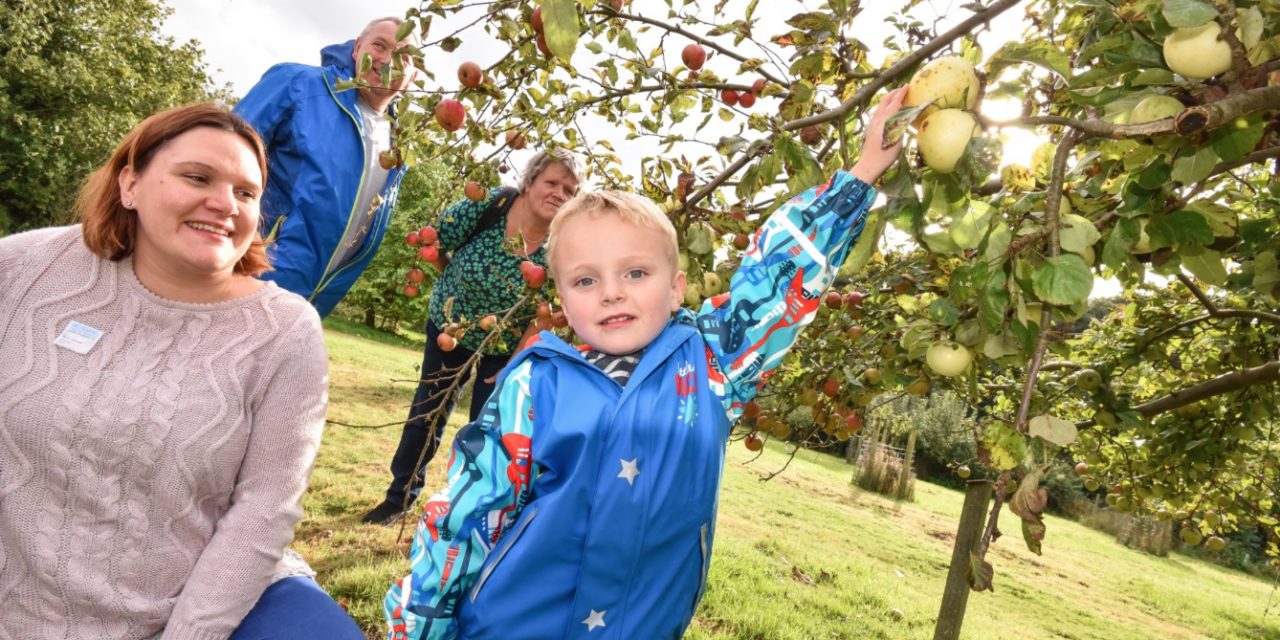 Improve your core knowledge of apples at Gressenhall Farm this Sunday