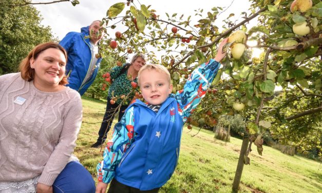 Improve your core knowledge of apples at Gressenhall Farm this Sunday