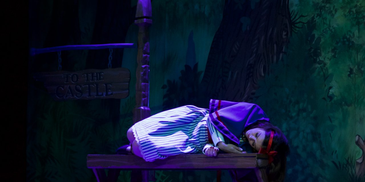 Norwich Eye reviews Sleeping Beauty at Norwich Theatre Royal
