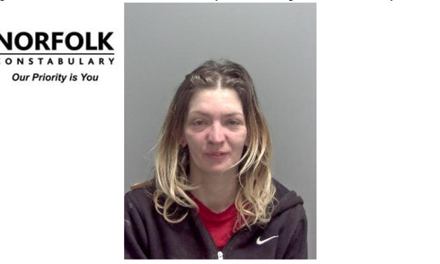 Wanted woman appeal – Lisa Cooper