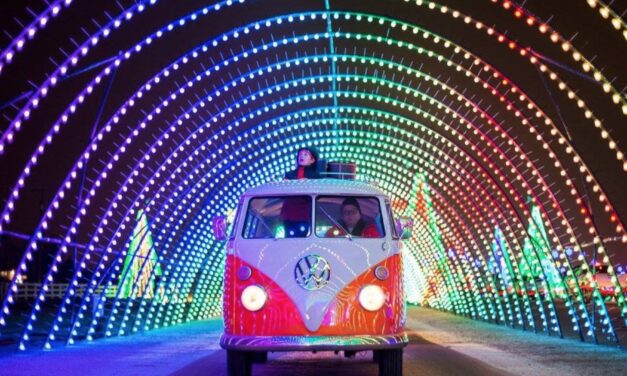 It Is All About Elf And Safety. Covid-Secure Drive-Thru Santa’s Grotto Comes To Norwich
