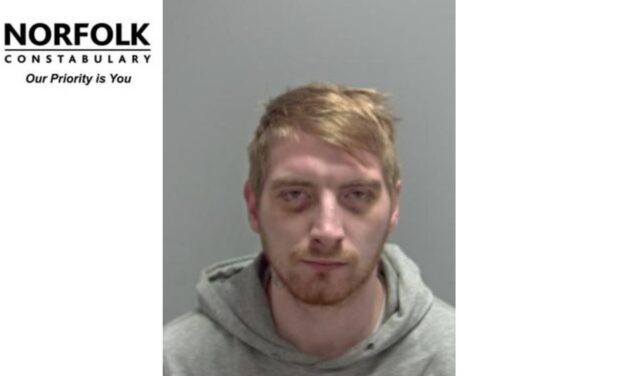 Man jailed for serial abuse on partners – Norwich