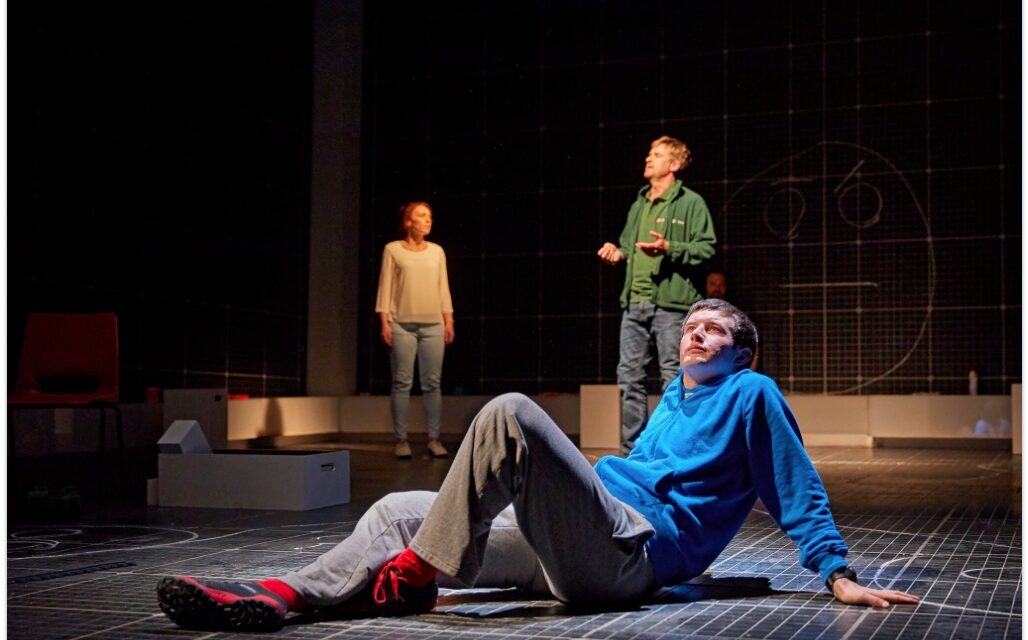 Review – The Curious Incident of the Dog in the Night-time