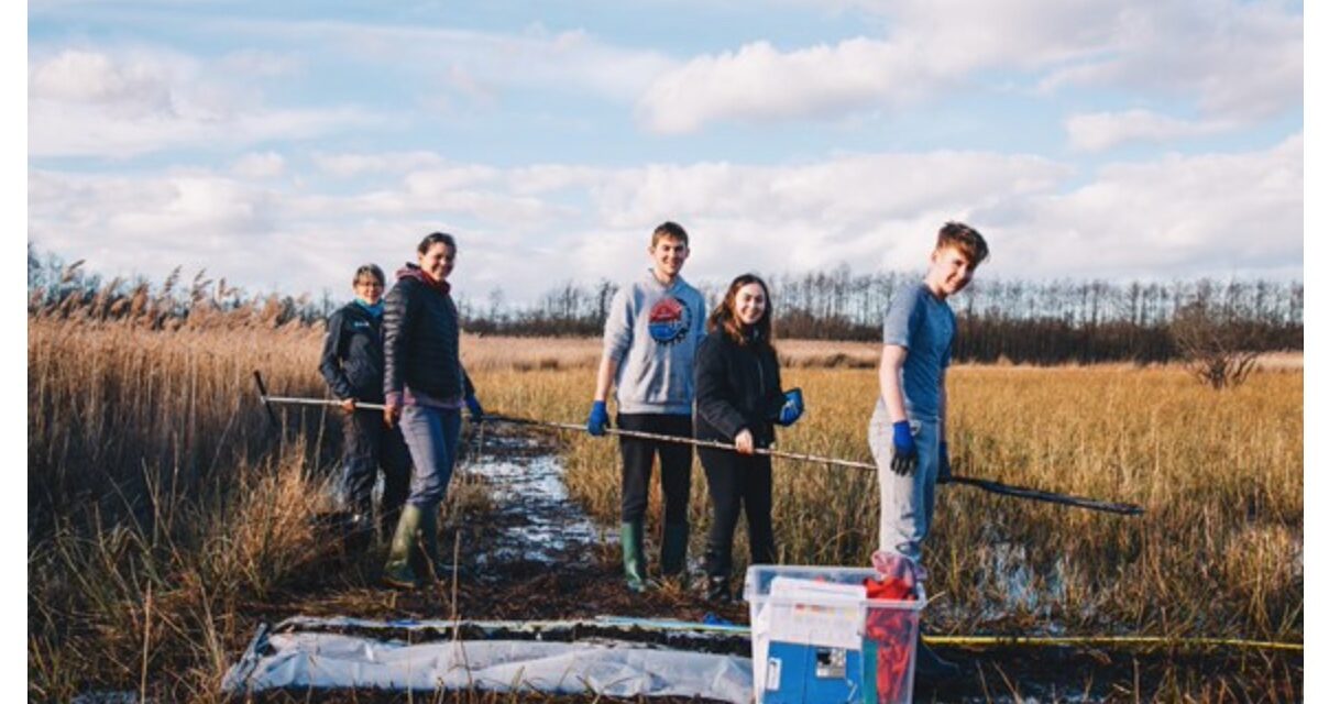 Students invited to discover future farming in Broads’ peatland
