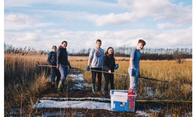 Students invited to discover future farming in Broads’ peatland