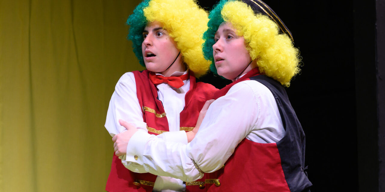 Norwich Eye reviews The Comedy of Errors